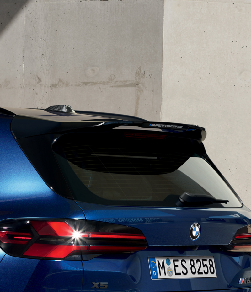 REAR SPOILER IN CARBON FIBRE.